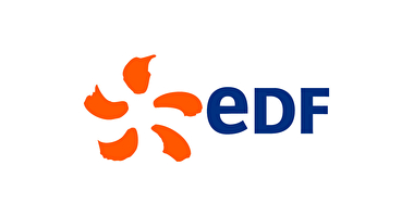 logo edf bleu fleur orange
